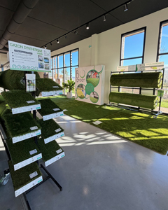 gazon synthétique BOgreen